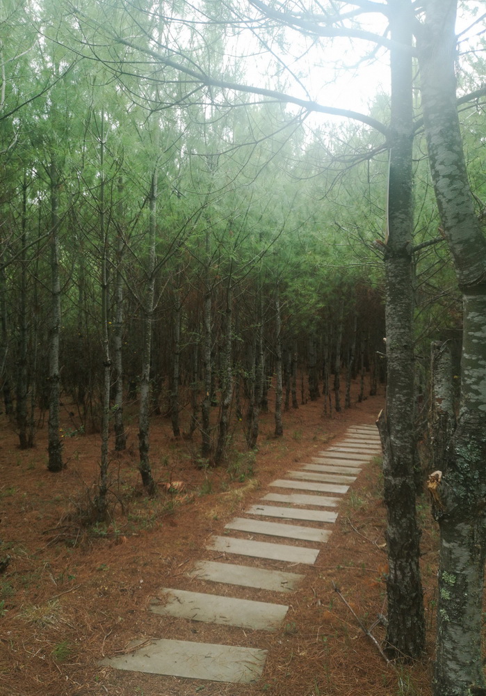 会东的景区有哪些?会东必游景点全攻略-会东网