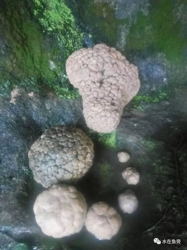 四川会东有什么好玩的？10大必打卡景点全攻略插图1