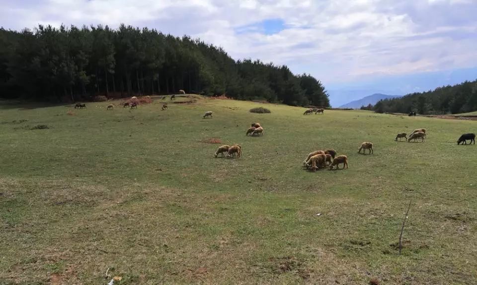 会东县旅游必去的景点推荐:探秘川南秘境必打卡的10个绝美之地-会东网