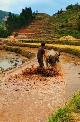 会东老君山旅游风景区全攻略：景点介绍、门票价格及游玩路线-会东网