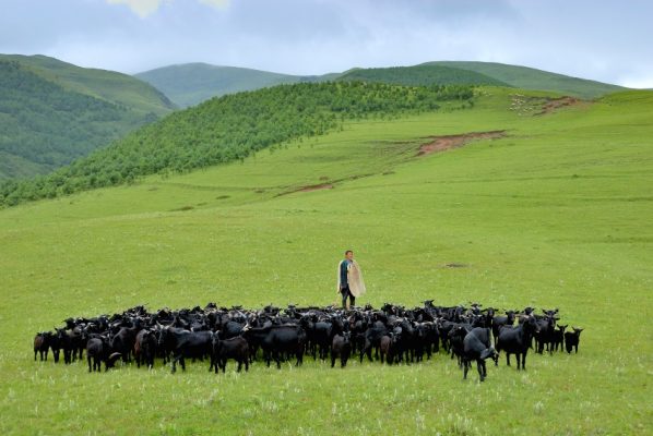 会东县姜洲镇旅游攻略：探访川南秘境小镇-会东网