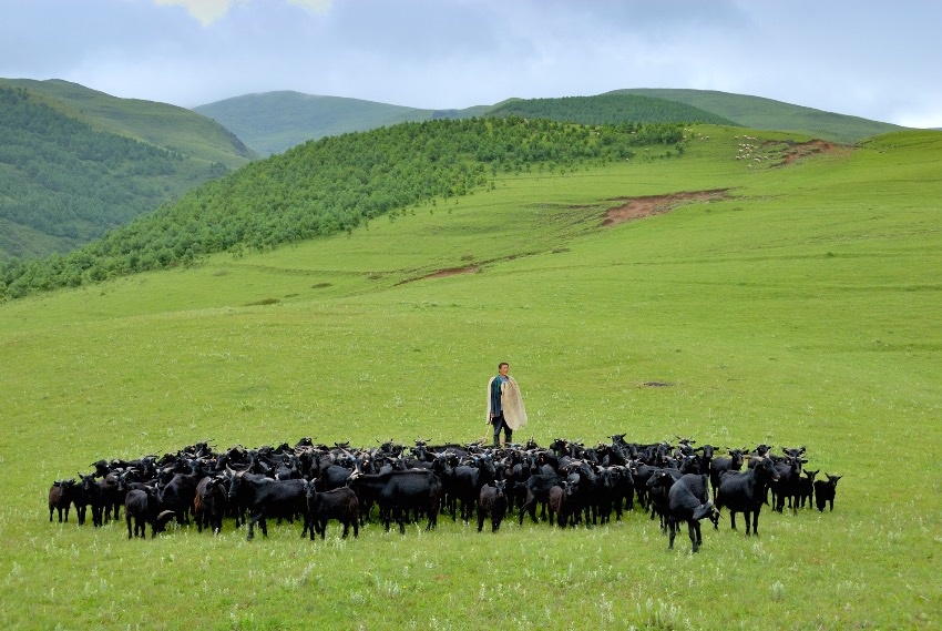 会东县姜洲镇旅游攻略:探访川南秘境小镇-会东网