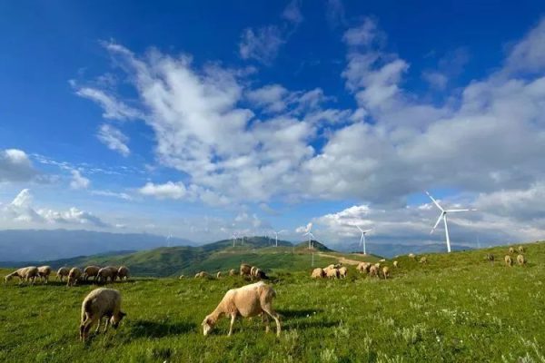 会东老君峰旅游攻略：探秘川南道教圣地的绝美风光-会东网