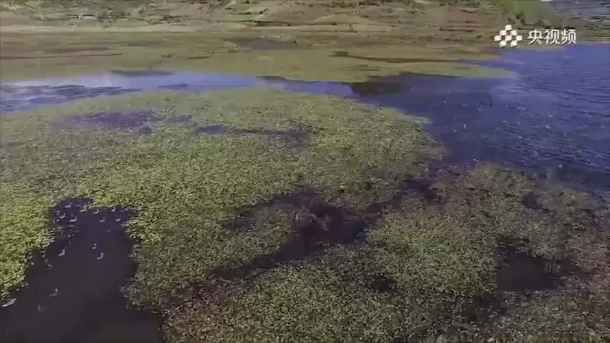 凉山州布拖县条件如何?带你了解这个彝族聚居地的真实生活状况-会东网
