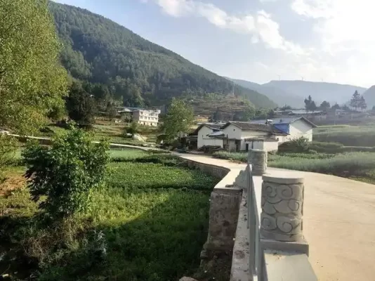 四川会东江西街乡：历史与现代交织的活力乡镇插图3