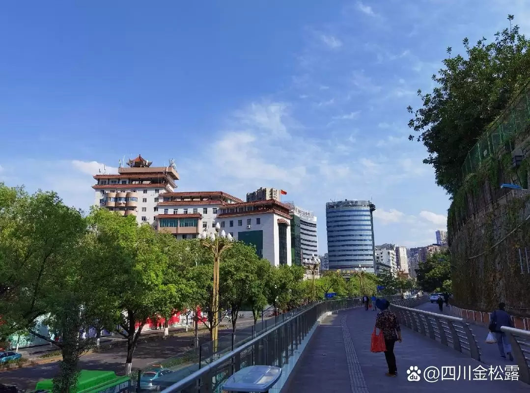 🌞避暑Citywalk！攀枝花东区漫游指南｜主城藏着一座25℃的森林氧吧插图1