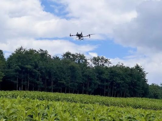 会东县：借低空经济“东风” 绘就智慧农业乡村振兴新画卷-会东网