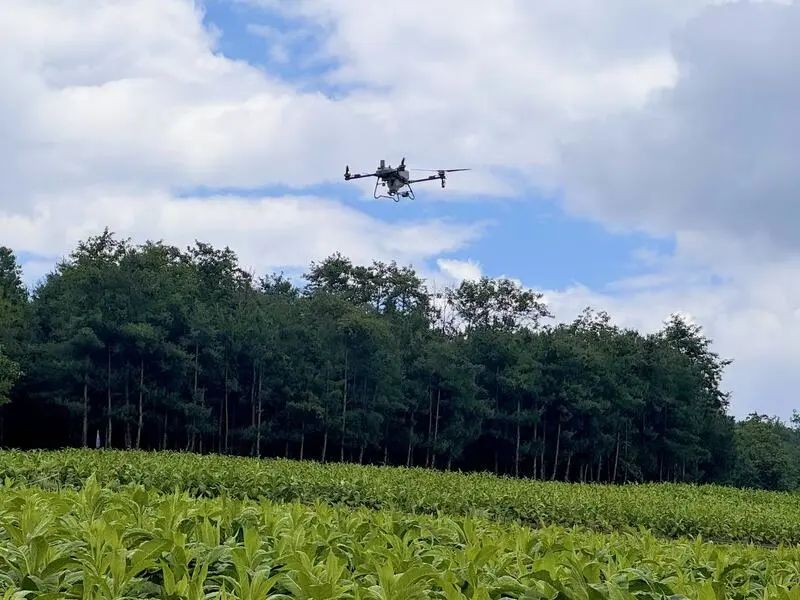 会东县：借低空经济“东风” 绘就智慧农业乡村振兴新画卷-会东网