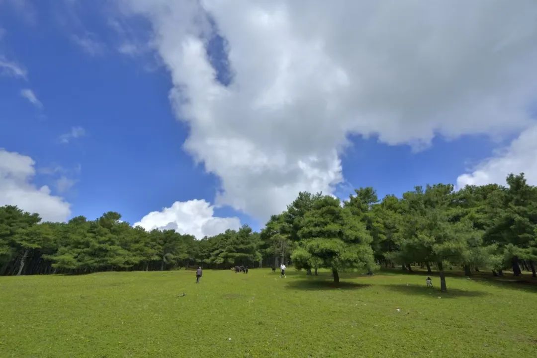 当火把燃情邂逅夏凉，会东邀您共赴三线浪漫清凉之旅-会东网