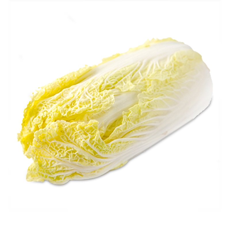 种白菜工具推荐：高效种植必备神器大盘点插图