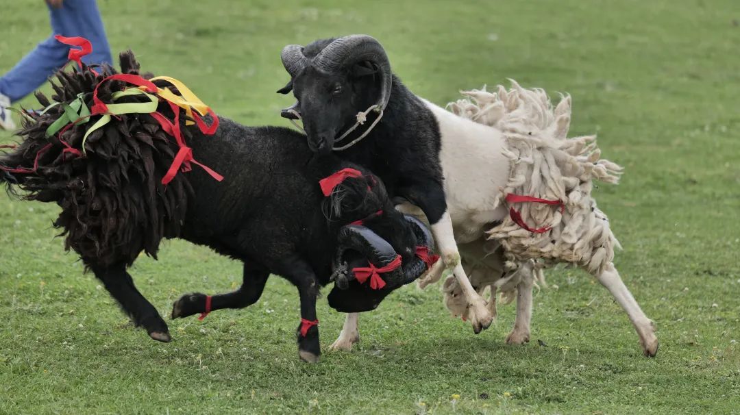 云端鲁南·清凉彝乡”:火把节燃情启幕,嗨翻鲁南山!插图5 云端鲁南·清凉彝乡”:火把节燃情启幕,嗨翻鲁南山!插图5
