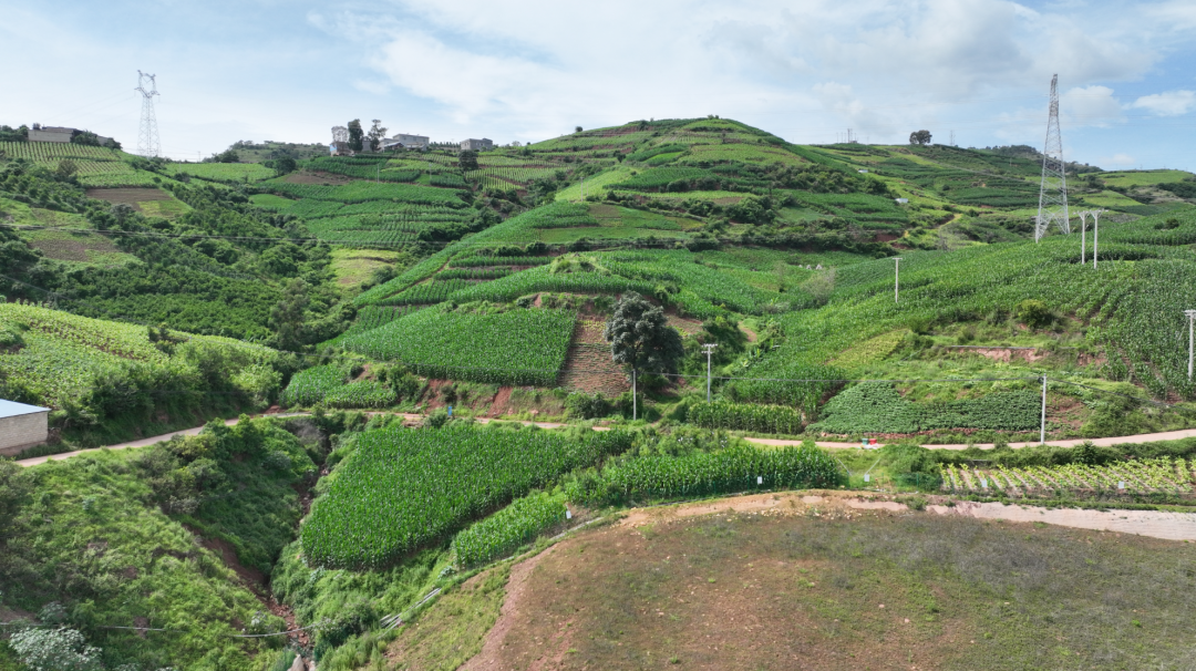 会禄高速铁柳隧道双洞贯通,出川新动脉迎突破插图1 会禄高速铁柳隧道双洞贯通,出川新动脉迎突破插图1