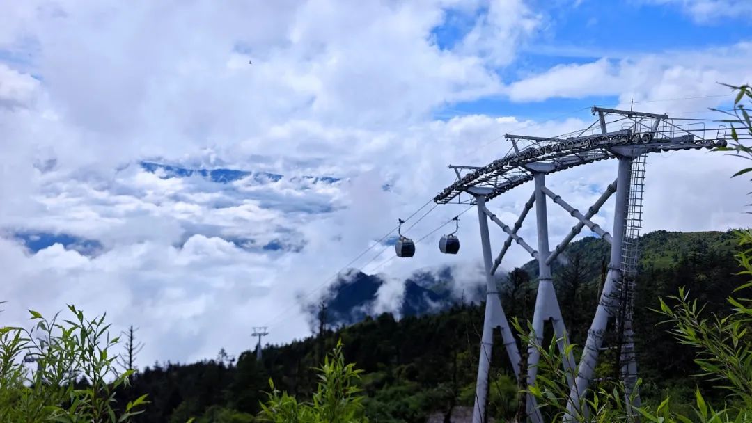 三伏天去哪儿？螺髻山清凉游等你来嗨！-会东网