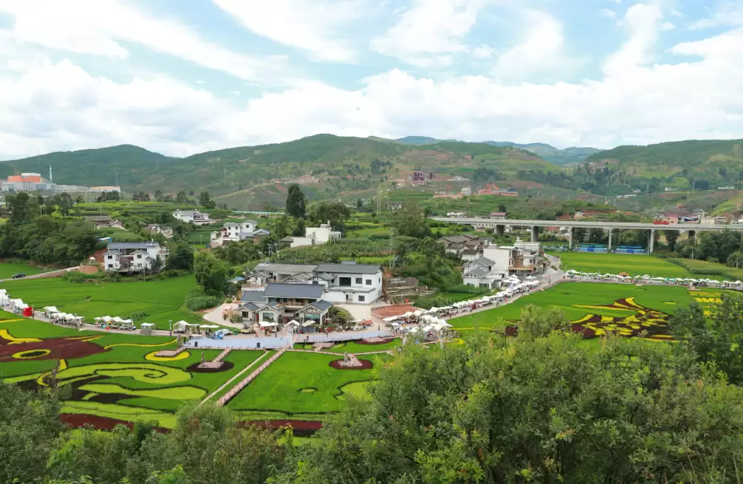 稻田音乐会“潮”涌乡村，会东文旅融合奏响乡村振兴“爆款”强音-会东网