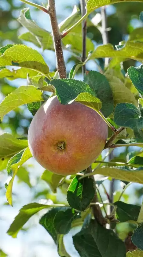 暑假余额不足别慌！来盐源补遗憾，开启历史、文化与自然的多彩之旅插图20
