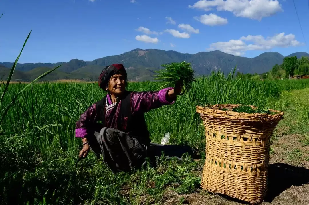 暑假余额不足别慌！来盐源补遗憾，开启历史、文化与自然的多彩之旅插图15