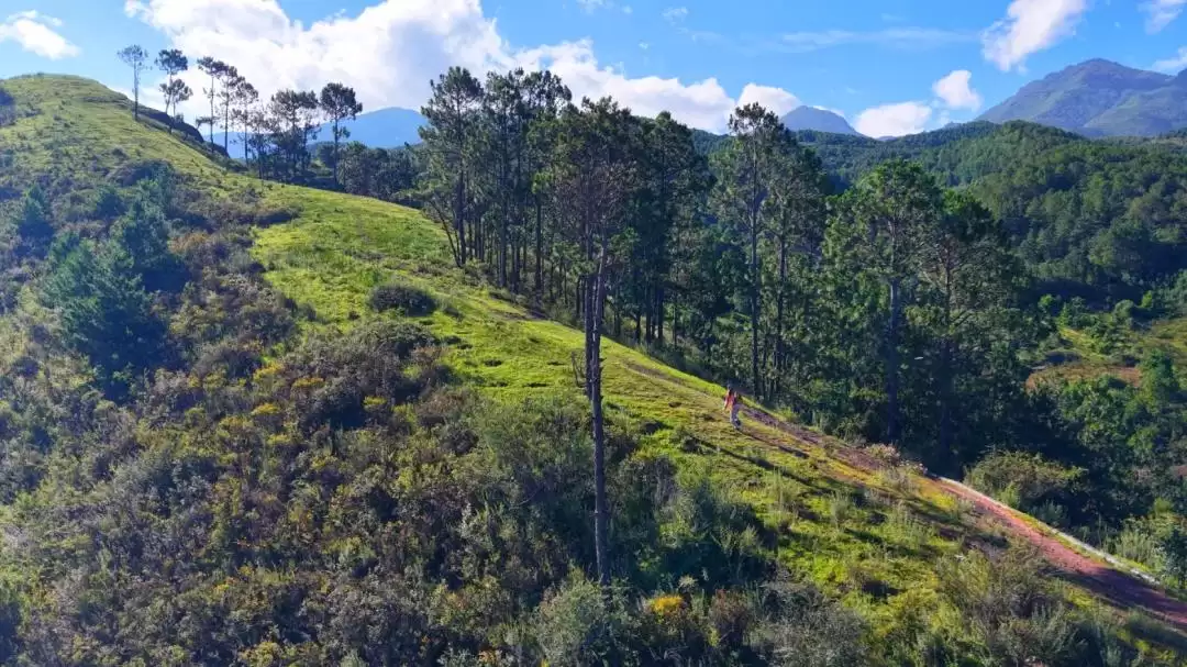 盐源：海拔 2600 米 + 的清凉宝藏地，山林、泸沽湖、果园畅享惬意避暑插图5