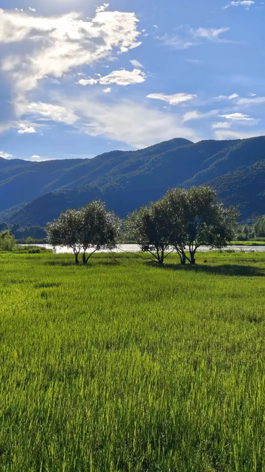 暑假余额不足别慌！来盐源补遗憾，开启历史、文化与自然的多彩之旅插图21