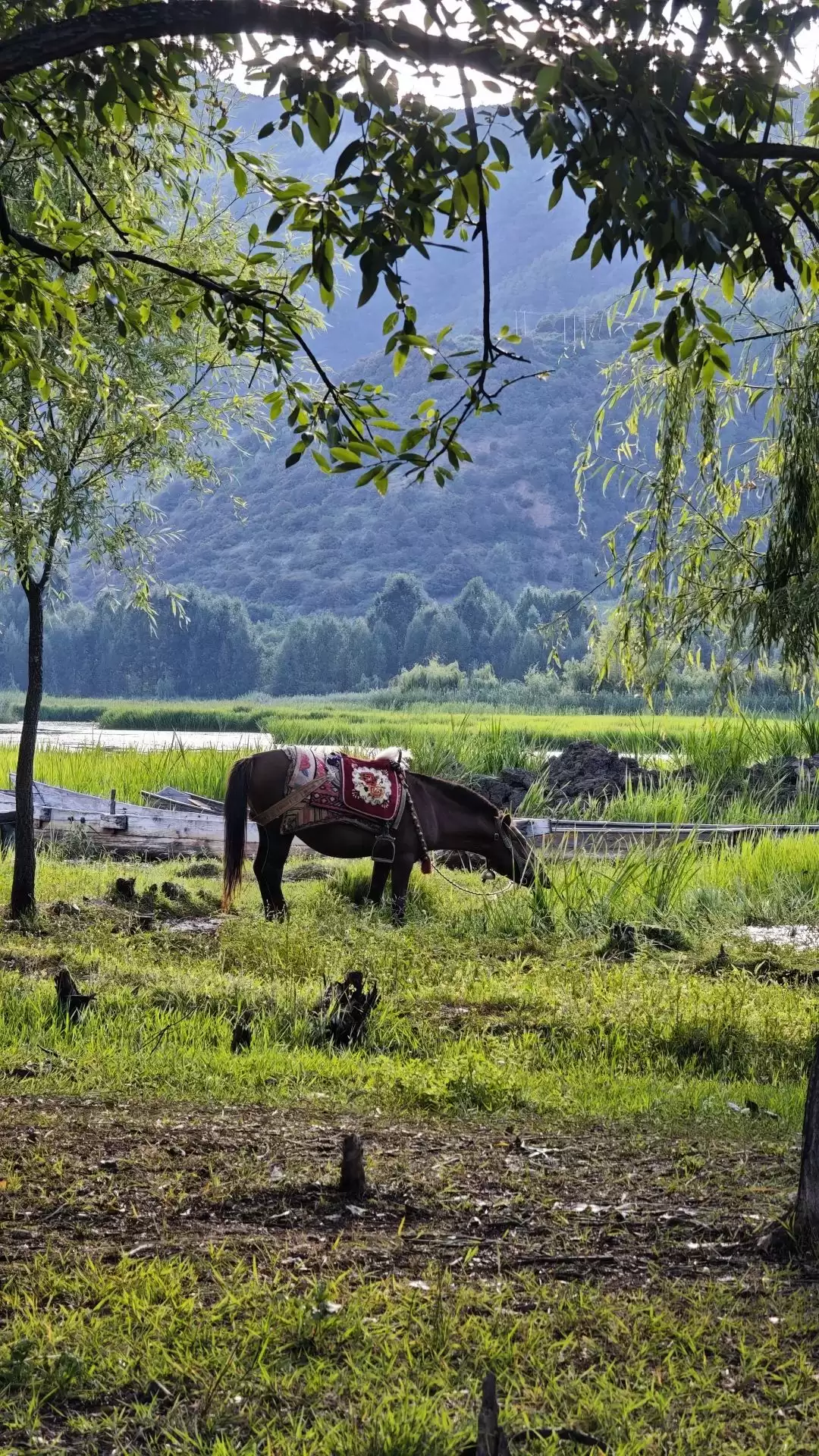暑假余额不足别慌！来盐源补遗憾，开启历史、文化与自然的多彩之旅插图22