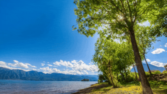 盐源：海拔 2600 米 + 的清凉宝藏地，山林、泸沽湖、果园畅享惬意避暑插图12