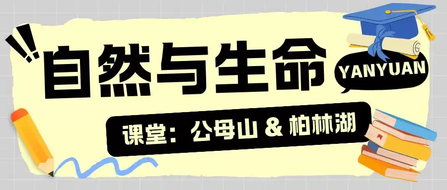 暑假余额不足别慌！来盐源补遗憾，开启历史、文化与自然的多彩之旅插图16