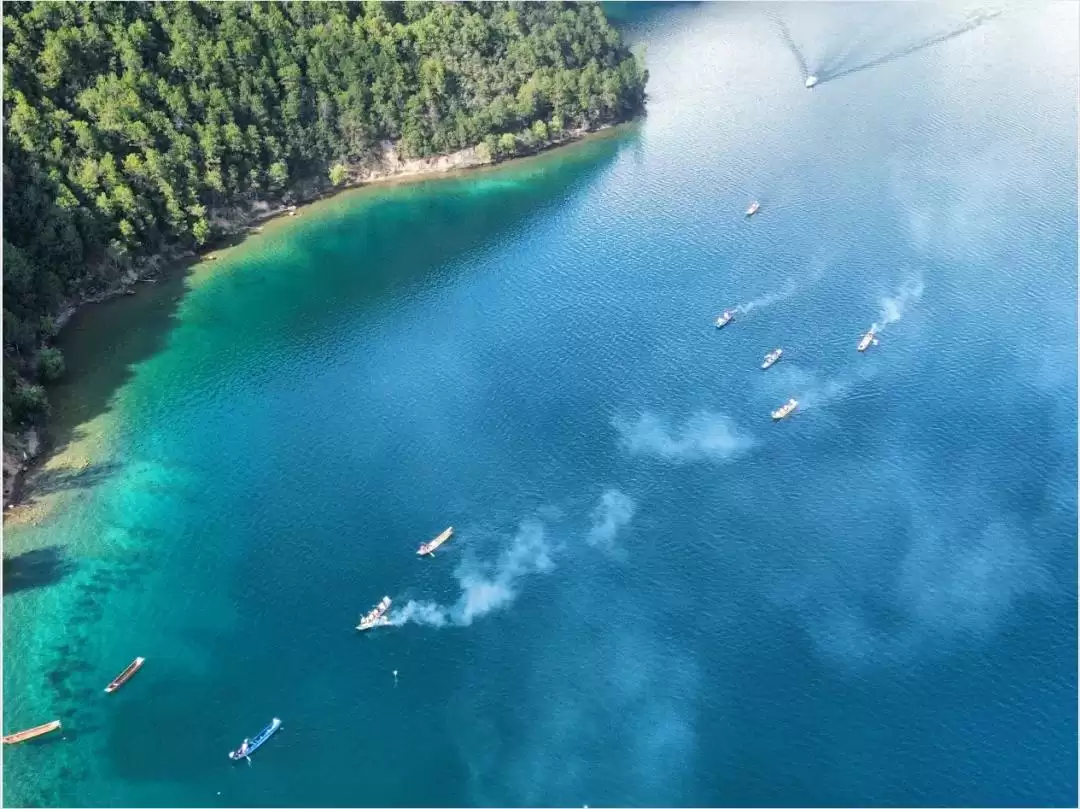 盐源：海拔 2600 米 + 的清凉宝藏地，山林、泸沽湖、果园畅享惬意避暑插图14