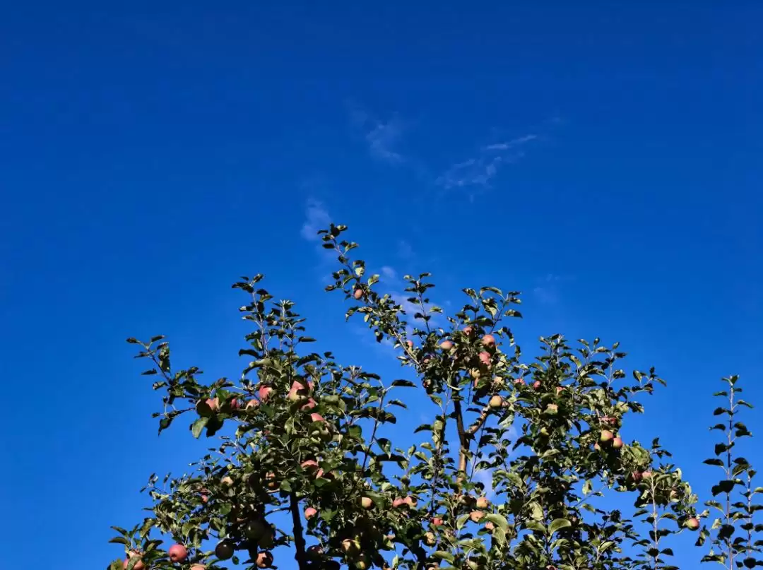 暑假余额不足别慌！来盐源补遗憾，开启历史、文化与自然的多彩之旅插图19