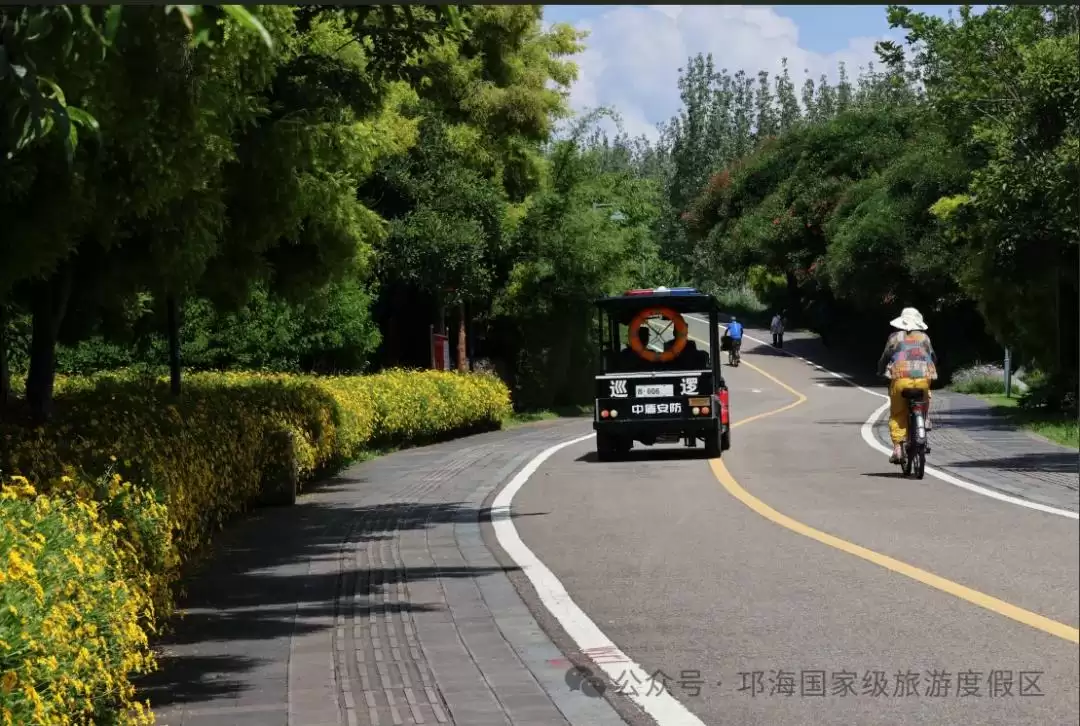 秋爽时节来邛海国家级旅游度假区，邂逅浪漫花海，畅享惬意秋日时光-会东网