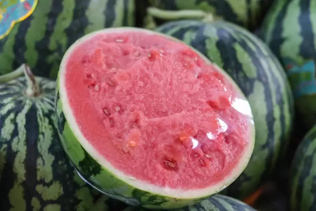 立秋后西昌仍热，本地人狂炫的清凉美食大揭秘：冰糕凉粉冰粉水果等速看插图20