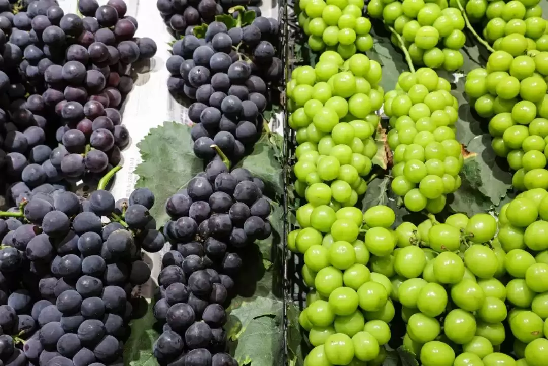 立秋后西昌仍热，本地人狂炫的清凉美食大揭秘：冰糕凉粉冰粉水果等速看插图15