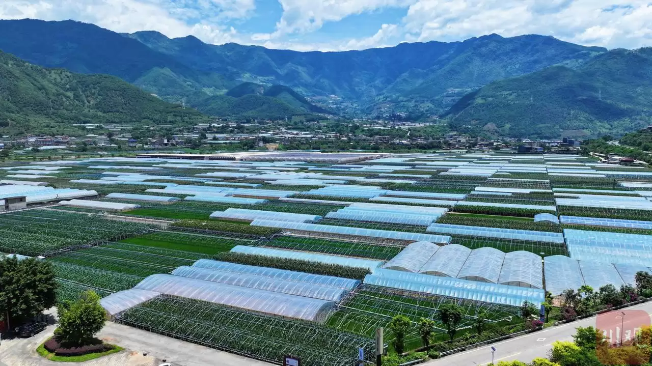 攀枝花水权水价改革：迤沙拉村刷卡浇地，前进渠灌区精准计量均衡用水插图2