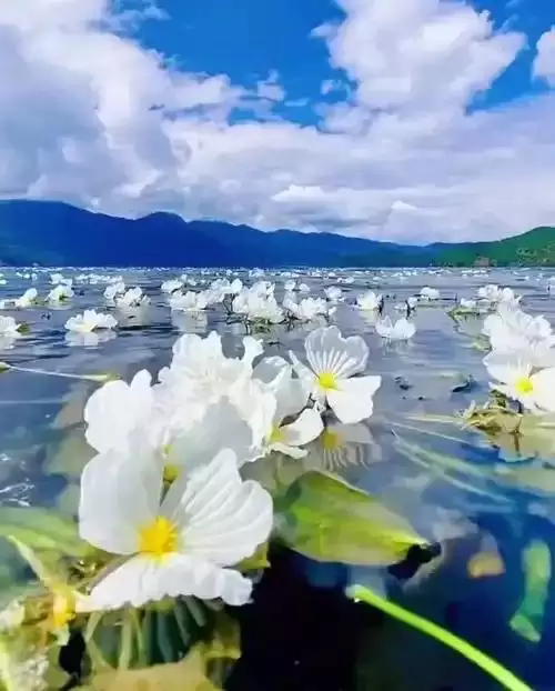 从嘉兴到凉山：亲赴山河，解锁凉山无法用照片与言语尽述的诗意之美插图2