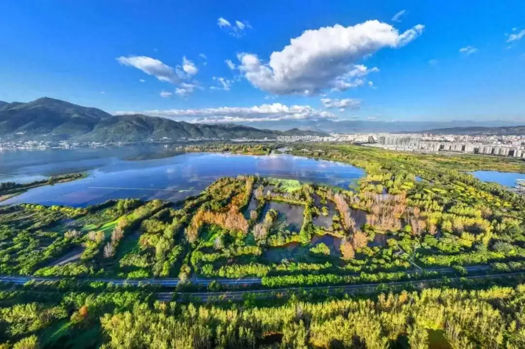 2025 年上半年凉山州财政收入达 117.85 亿，各地表现亮眼增速不一-会东网