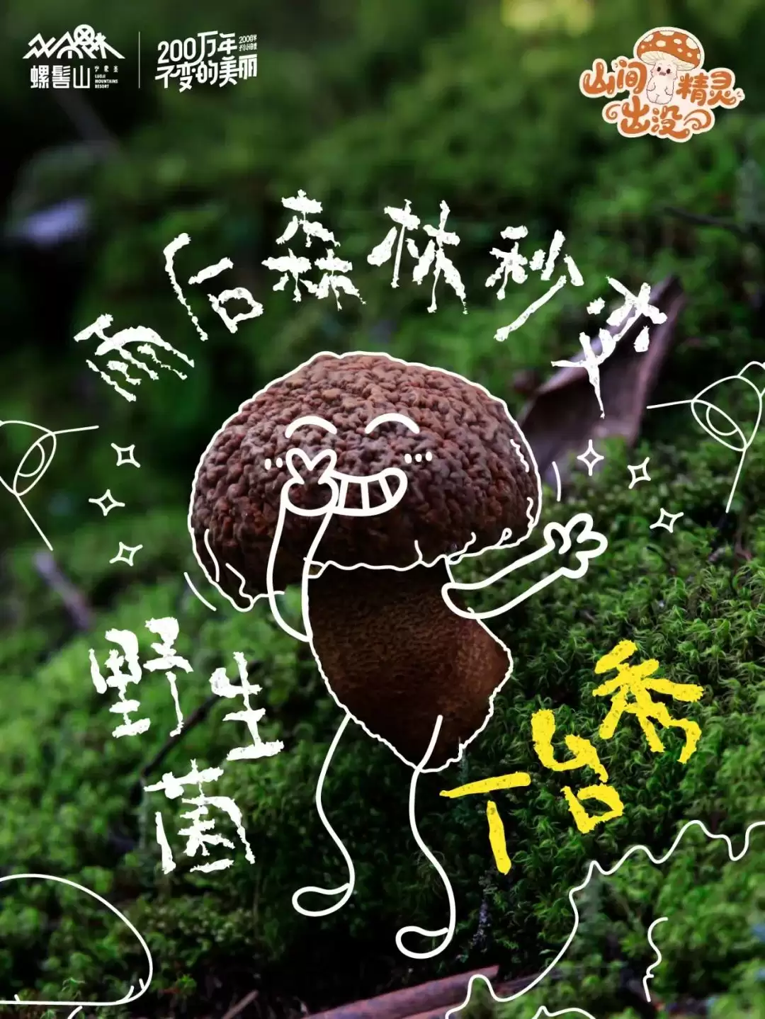 螺髻山游玩攻略 | 八月雨润仙境，“山间精灵” 野生菌出没，快来开盲盒插图5