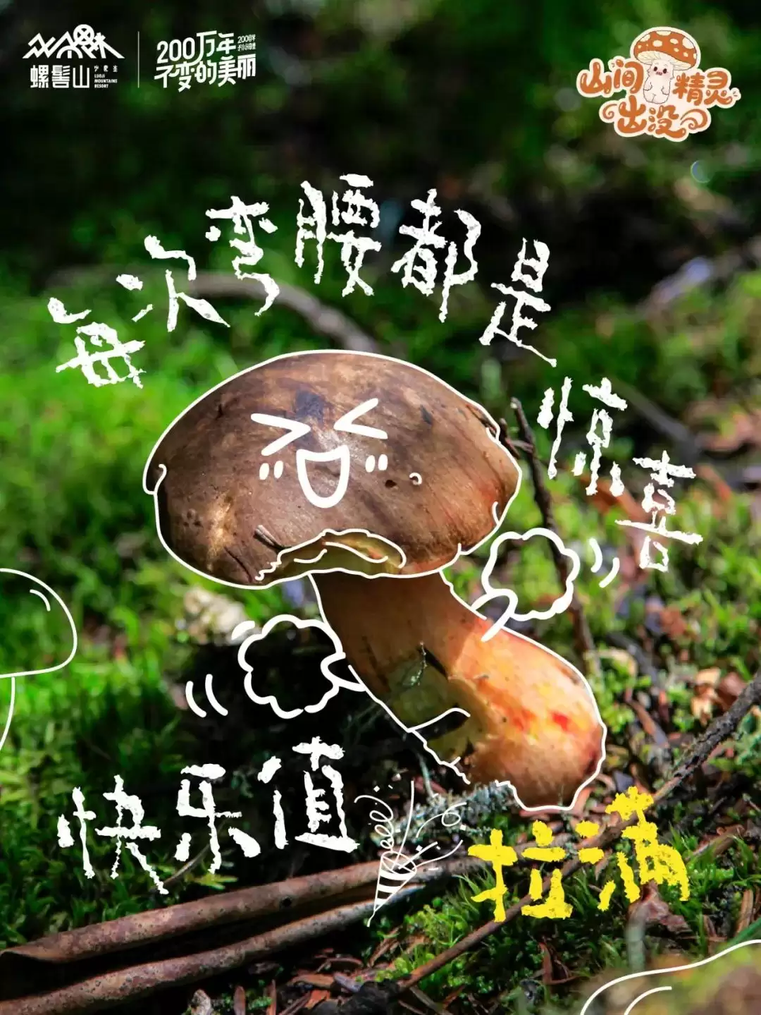 螺髻山游玩攻略 | 八月雨润仙境，“山间精灵” 野生菌出没，快来开盲盒插图2