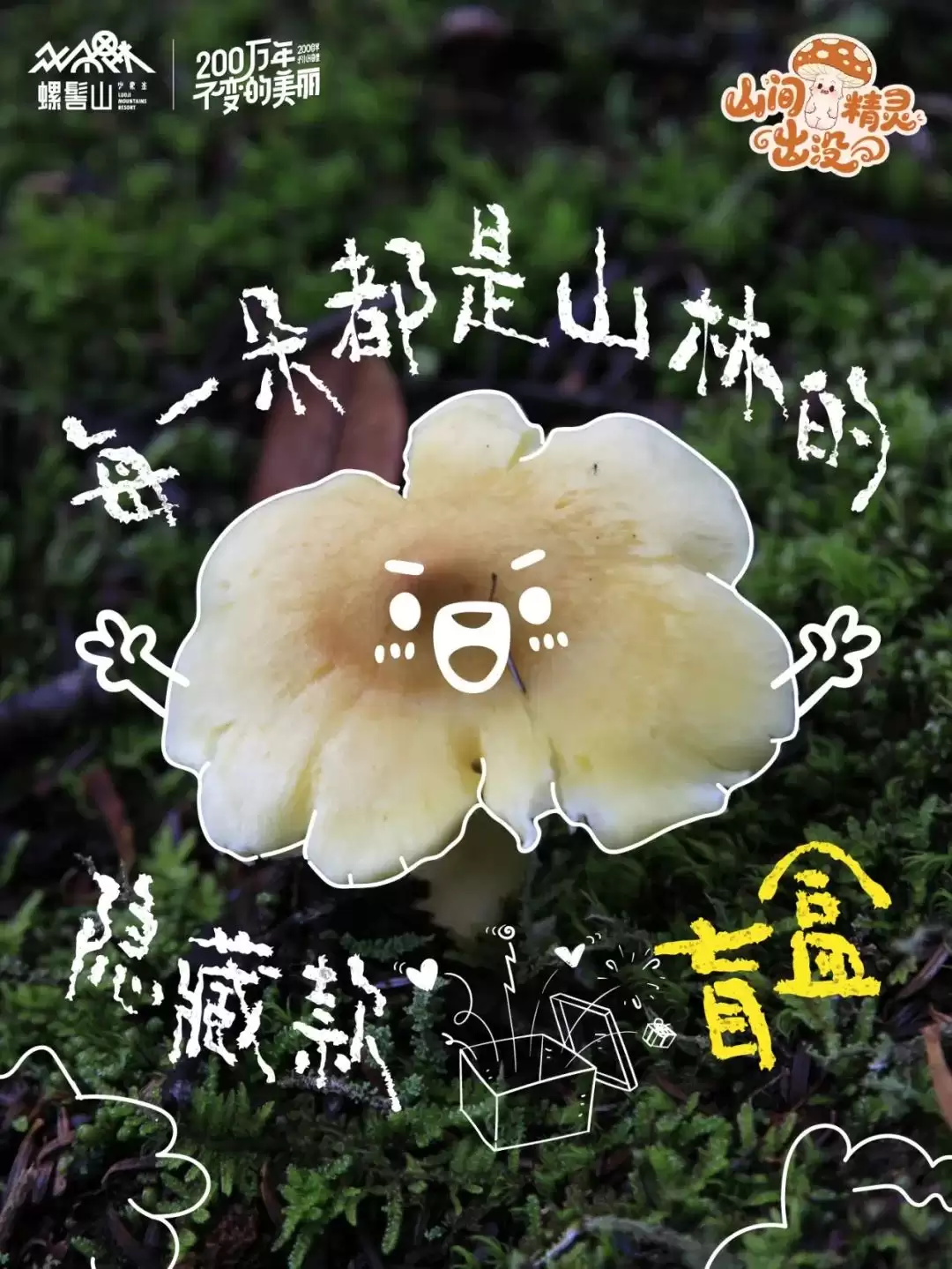 螺髻山游玩攻略 | 八月雨润仙境，“山间精灵” 野生菌出没，快来开盲盒插图1