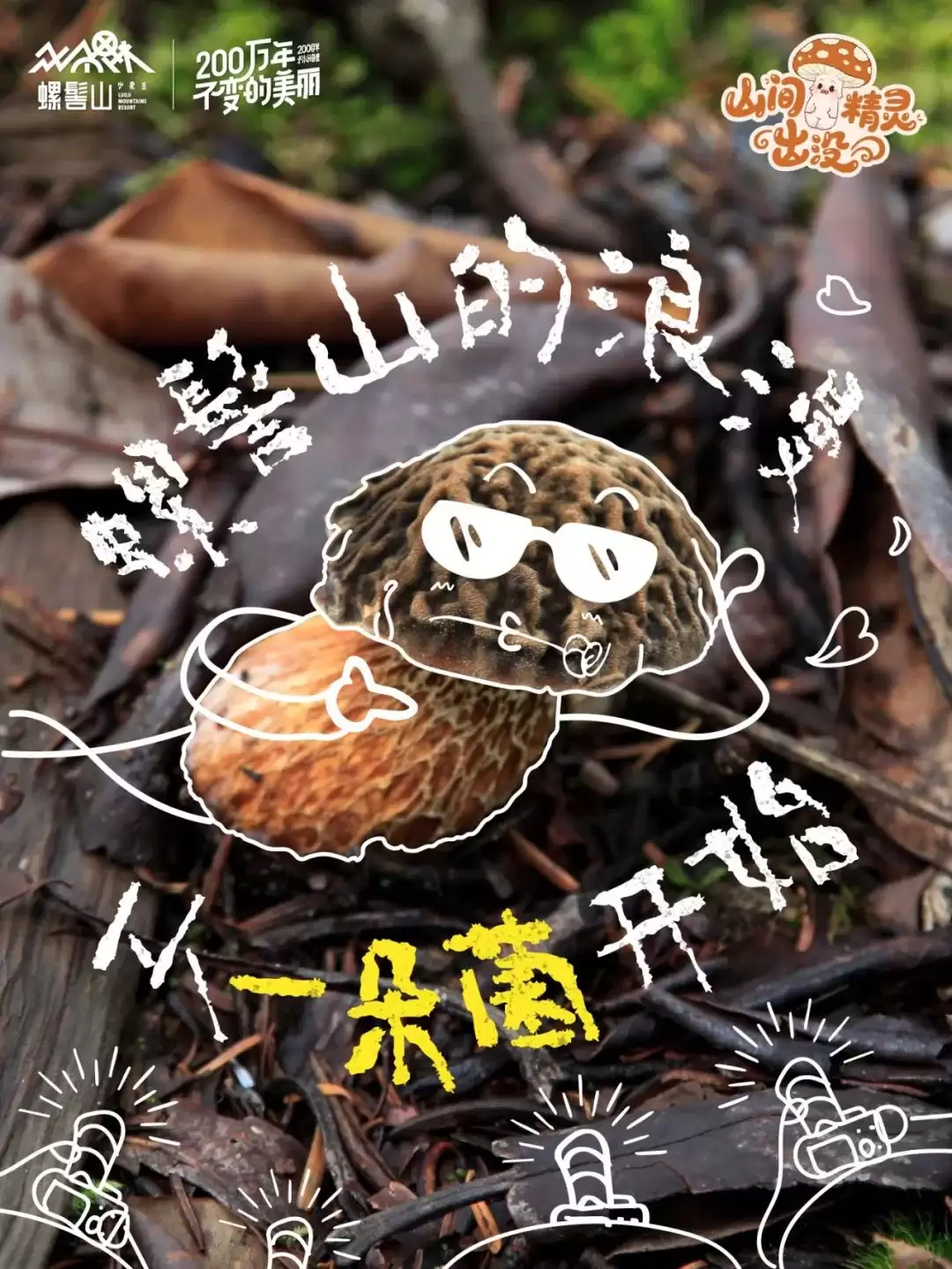 螺髻山游玩攻略 | 八月雨润仙境，“山间精灵” 野生菌出没，快来开盲盒-会东网