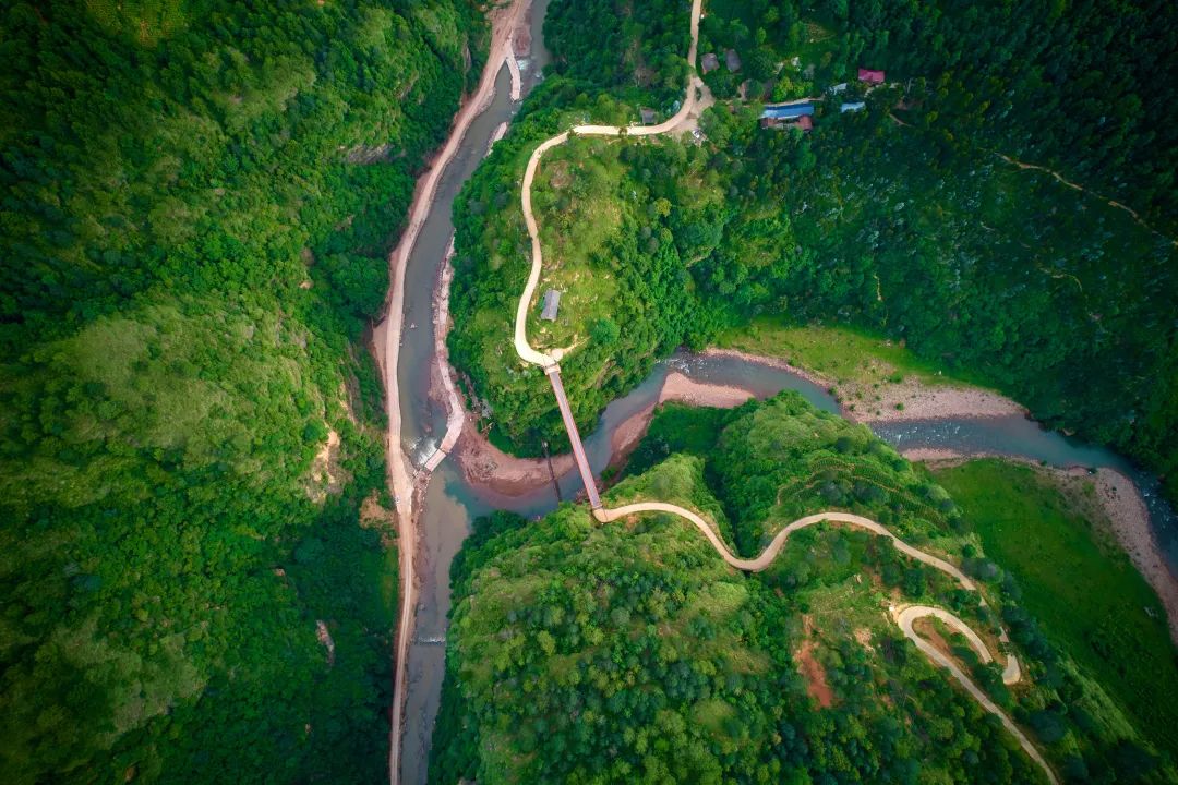 鲹鱼河畔的散步感悟：于寻常处寻静心之法，看情绪如河自然平衡插图