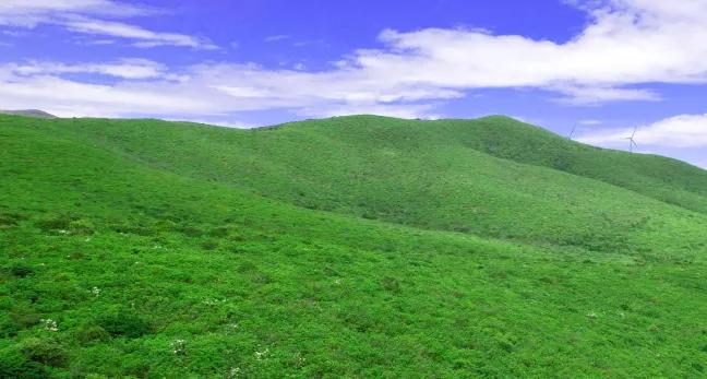 凉山 “五彩凉山・夏季清凉” 文旅季：95 天狂欢，东线彝族风情体验之旅插图24