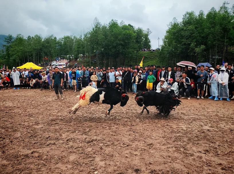 凉山 “五彩凉山・夏季清凉” 文旅季：95 天狂欢，东线彝族风情体验之旅插图44
