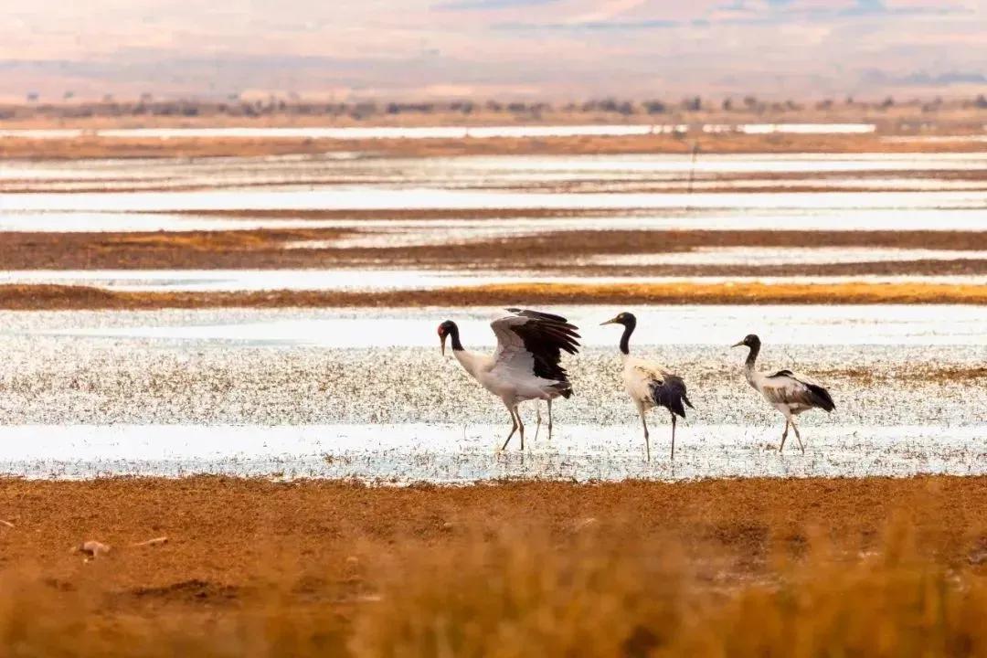 凉山 “五彩凉山・夏季清凉” 文旅季：95 天狂欢，东线彝族风情体验之旅插图54