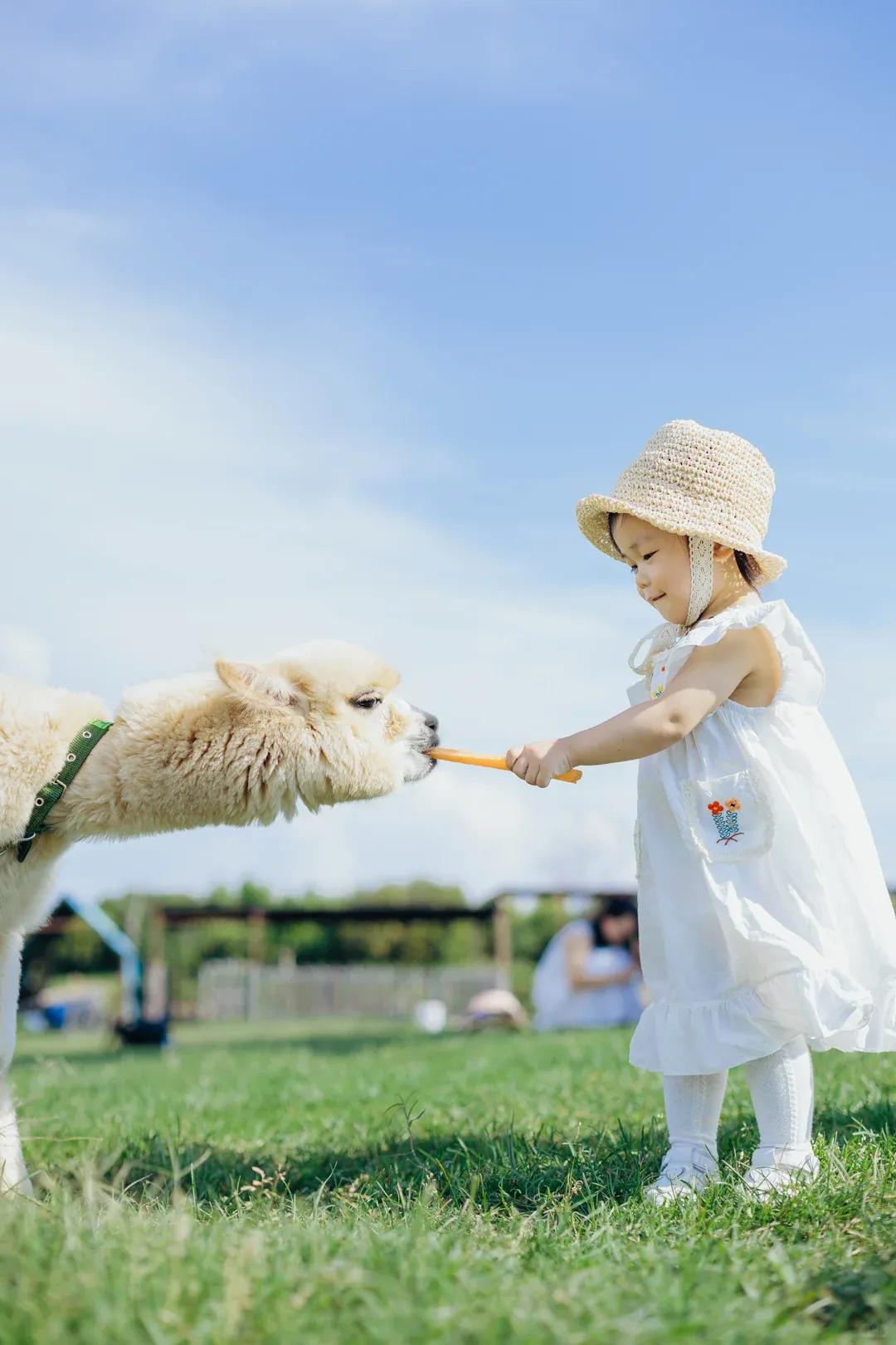 西昌听涛谷:刘耕宏同款打卡地,运动拍照圣地,超多宝藏等你解锁插图4 西昌听涛谷:刘耕宏同款打卡地,运动拍照圣地,超多宝藏等你解锁插图4