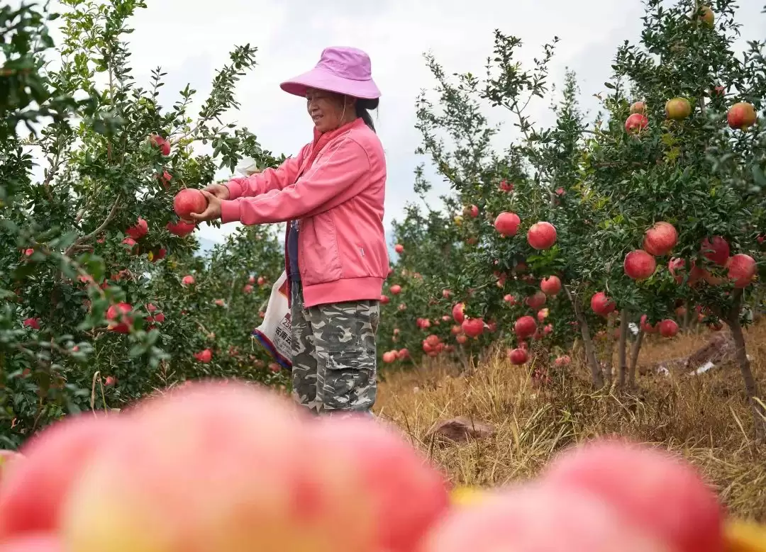 会东夏日清凉指南：解锁自然里的亲子狂欢时光插图2