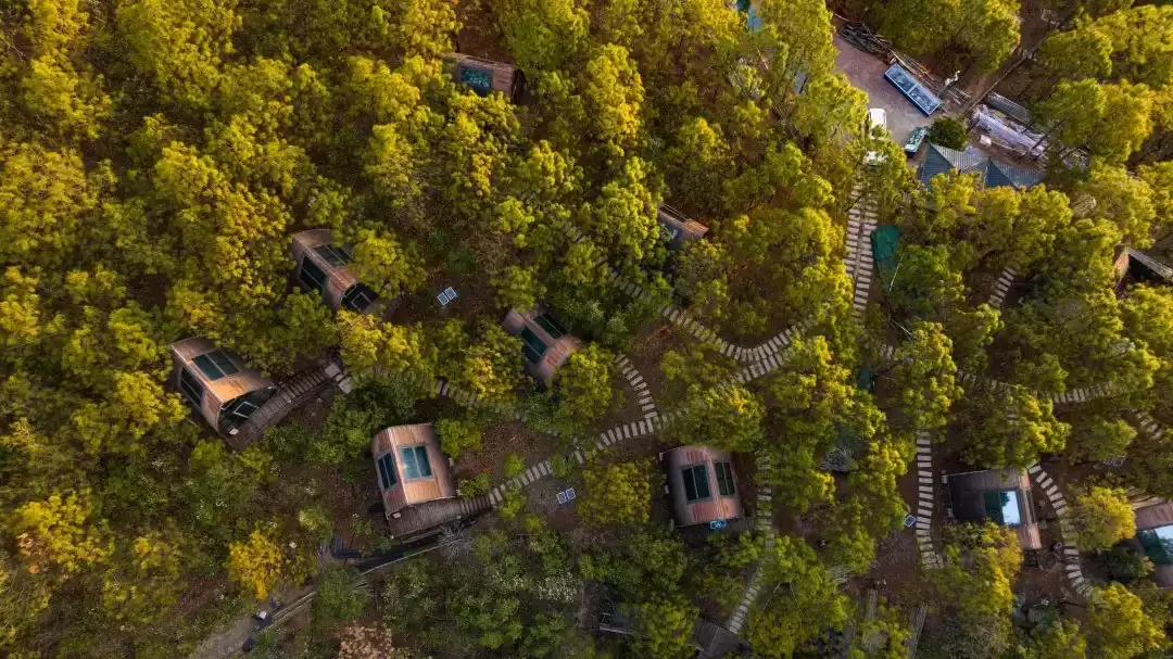 会东夏日清凉指南：解锁自然里的亲子狂欢时光插图9