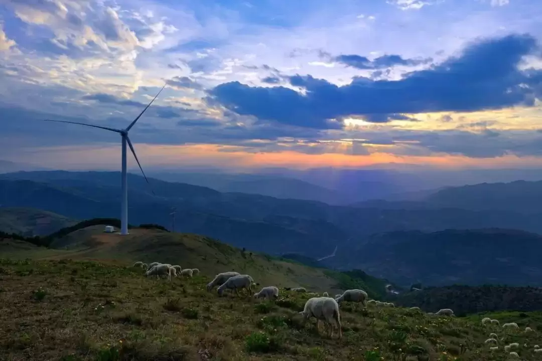 会东夏日清凉指南：解锁自然里的亲子狂欢时光插图3