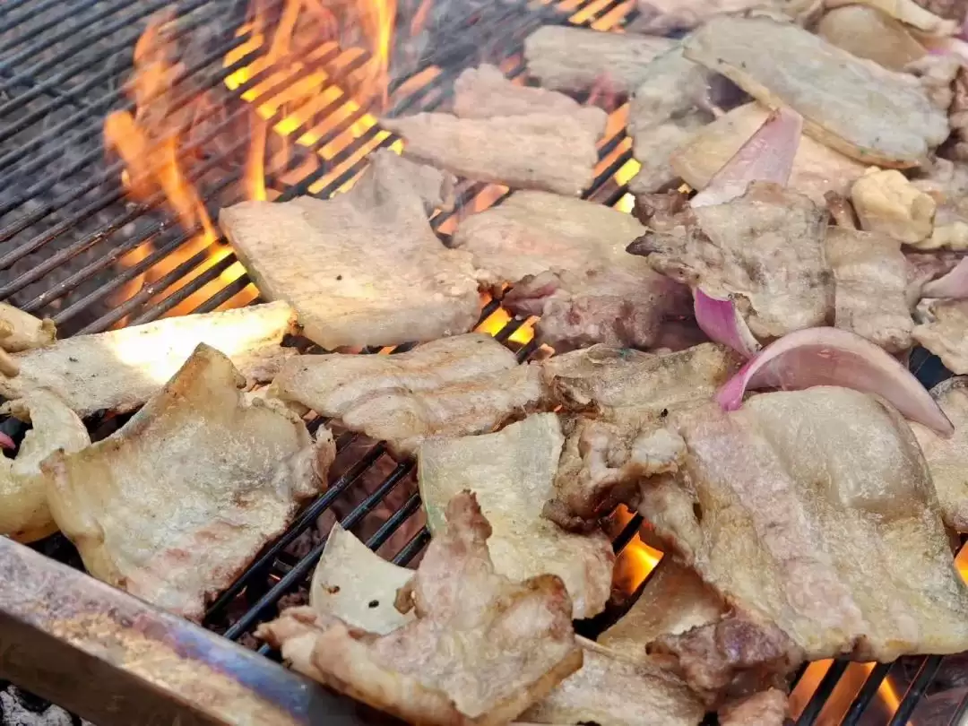 会东夏日清凉指南：解锁自然里的亲子狂欢时光插图6