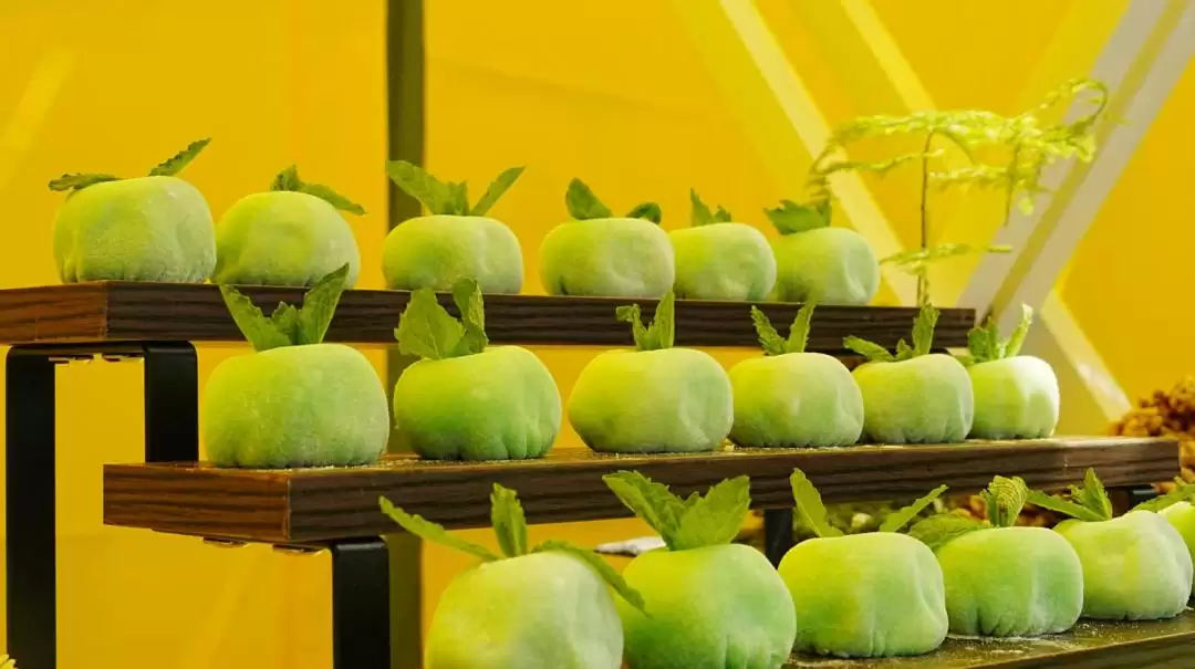 跳出 “浪浪山” 迷茫？来盐源搭建观景台，以湖光、烟火与历史校准内心插图13