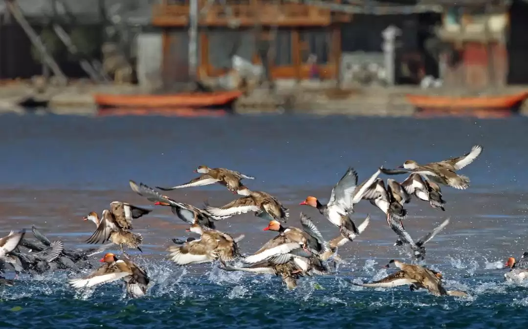 跳出 “浪浪山” 迷茫？来盐源搭建观景台，以湖光、烟火与历史校准内心插图15