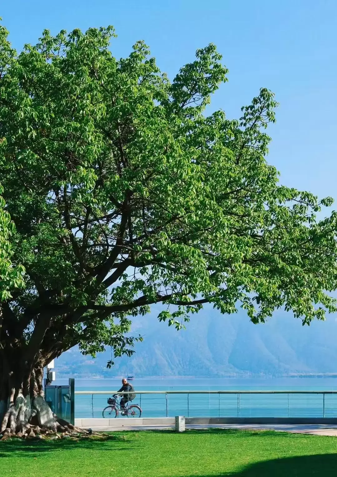 2025 大凉山烧烤美食季：品味烟火气，解锁凉山四季的浪漫邀约插图20