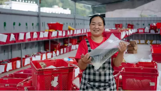 多多买菜进凉山：从餐桌之变到生活之兴插图1